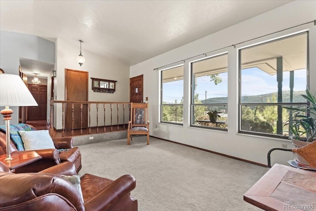 8427 S Custer Ln, Evergreen, CO 80439 - living room featuring carpet and lofted ceiling
