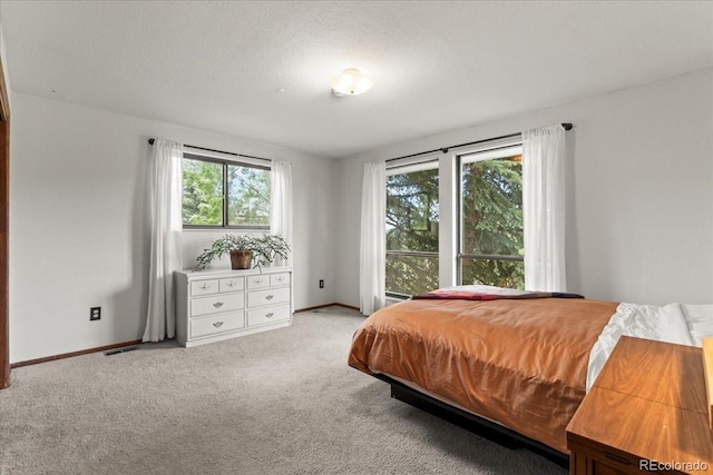 8427 S Custer Ln, Evergreen, CO 80439 - bedroom with multiple windows, light carpet, and a textured ceiling
