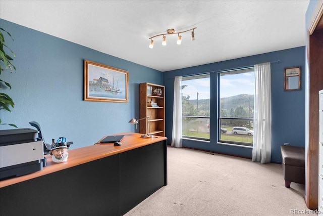 8427 S Custer Ln, Evergreen, CO 80439 - office space featuring light carpet, a mountain view, and a textured wall