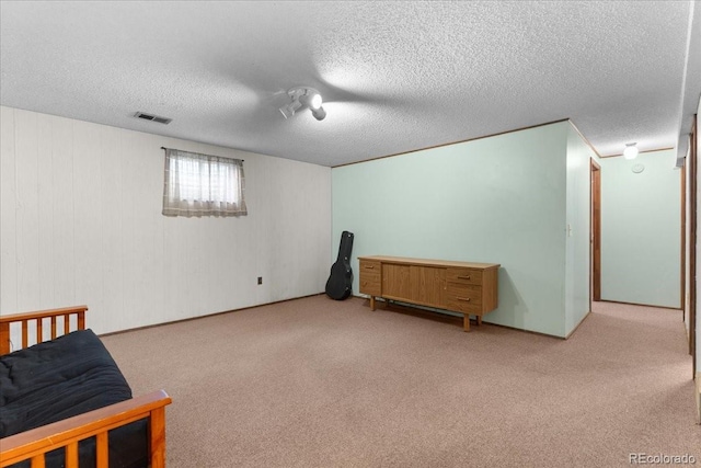 8427 S Custer Ln, Evergreen, CO 80439 - below grade area with a textured ceiling and carpet flooring