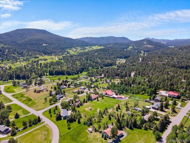 8427 S Custer Ln, Evergreen, CO 80439 - aerial view of property and surrounding area with mountains