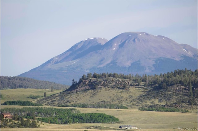 767 Brahma Cir, Hartsel, CO 80449