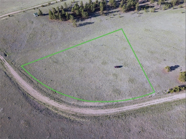 767 Brahma Cir, Hartsel, CO 80449