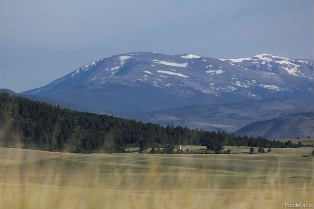 767 Brahma Cir, Hartsel, CO 80449
