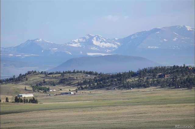 767 Brahma Cir, Hartsel, CO 80449
