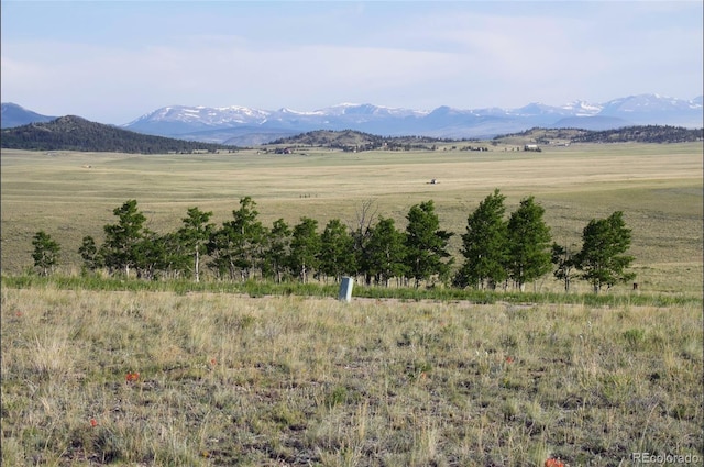 767 Brahma Cir, Hartsel, CO 80449