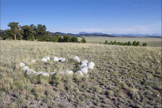 767 Brahma Cir, Hartsel, CO 80449