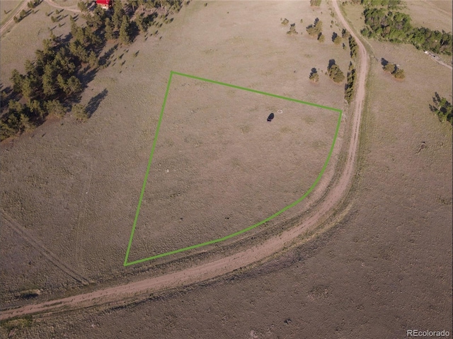 767 Brahma Cir, Hartsel, CO 80449