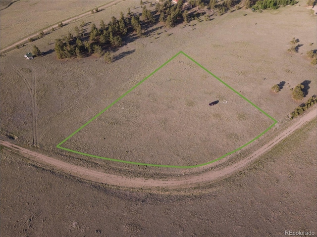 767 Brahma Cir, Hartsel, CO 80449