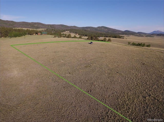 767 Brahma Cir, Hartsel, CO 80449
