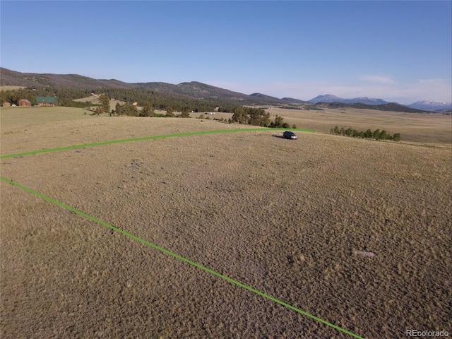 767 Brahma Cir, Hartsel, CO 80449