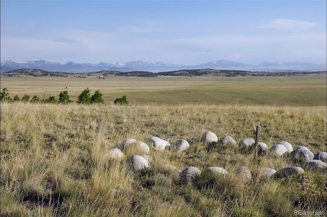 767 Brahma Cir, Hartsel, CO 80449