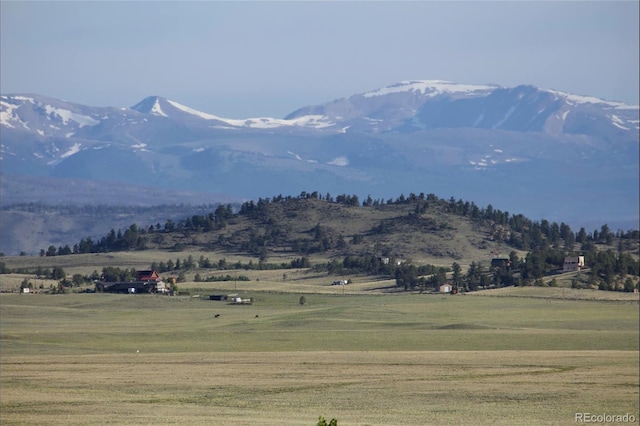767 Brahma Cir, Hartsel, CO 80449