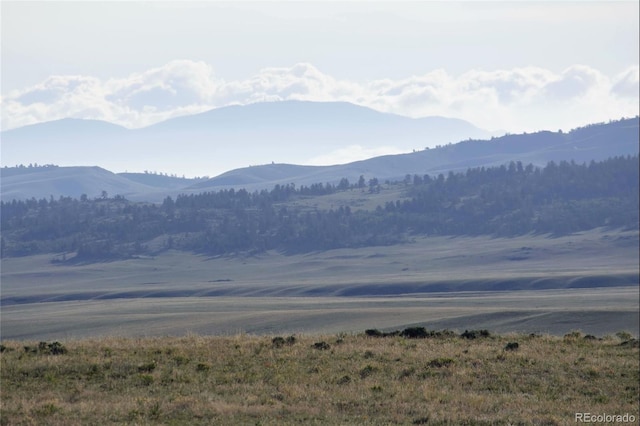 767 Brahma Cir, Hartsel, CO 80449