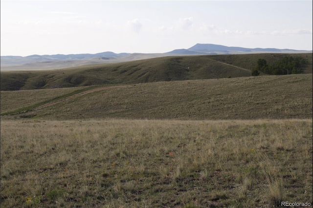 767 Brahma Cir, Hartsel, CO 80449