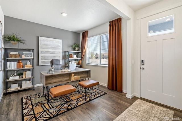 foyer with dark hardwood / wood-style floors