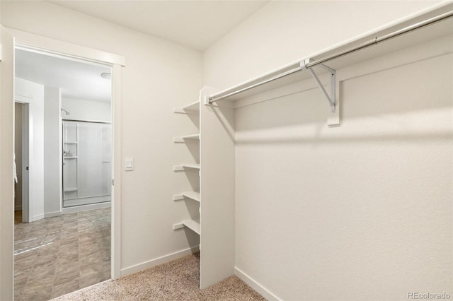 walk in closet featuring light colored carpet