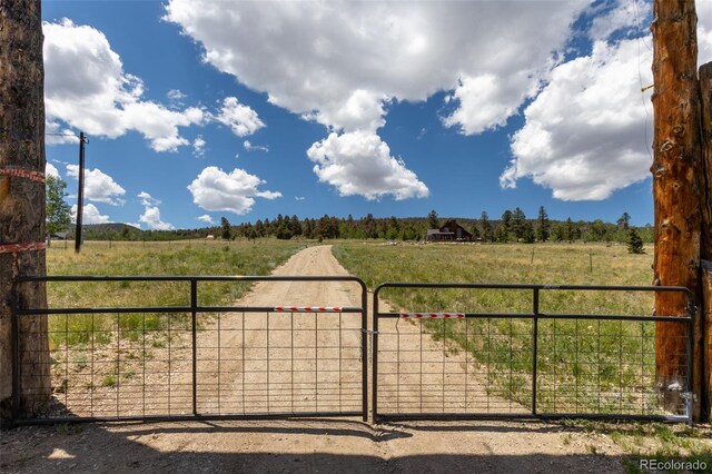 1563 Pitchfork Rd, Hartsel, CO 80449 - photo 36