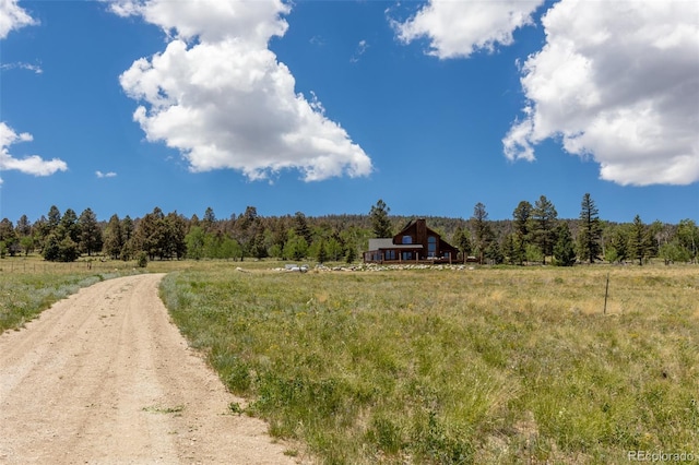 1563 Pitchfork Rd, Hartsel, CO 80449 - photo 38