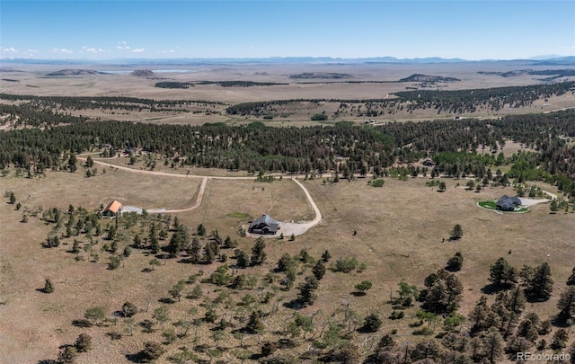 1563 Pitchfork Rd, Hartsel, CO 80449 - photo 43