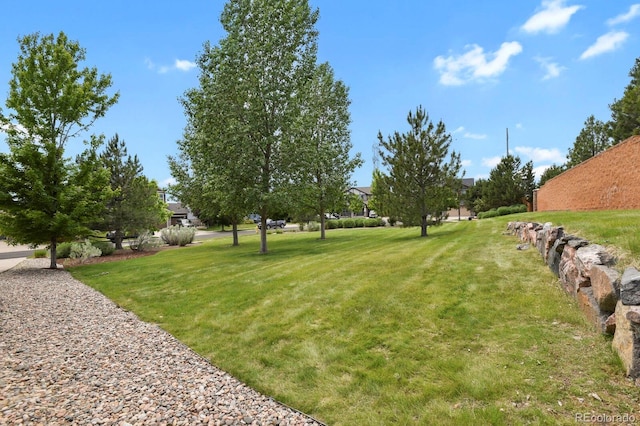 24269 E Arapahoe Pl, Aurora, CO 80016 - view of grassy yard