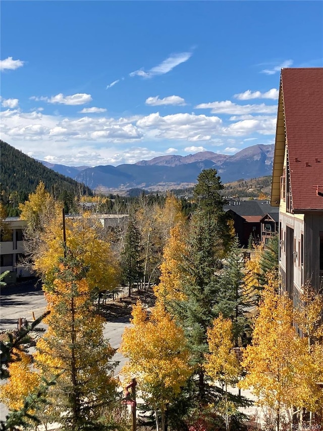150 Dercum Sq Unit 8501, Keystone, CO 80435 - mountain view