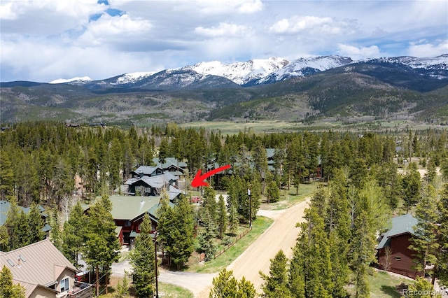 753 County Road 830 Unit 1, Fraser, CO 80442 - view of mountain background