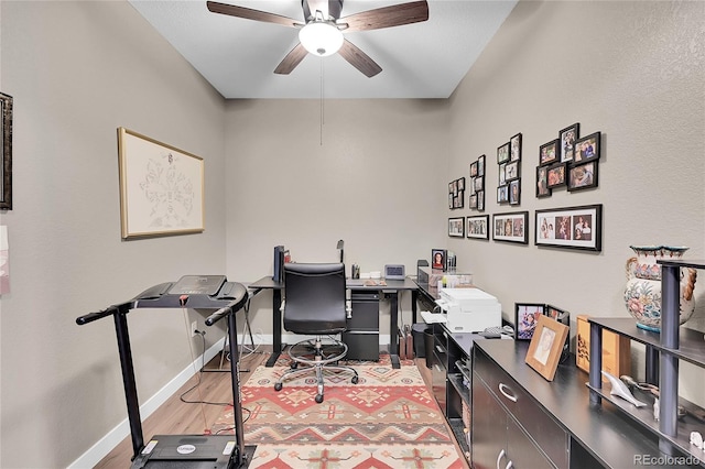 office featuring light hardwood / wood-style flooring and ceiling fan