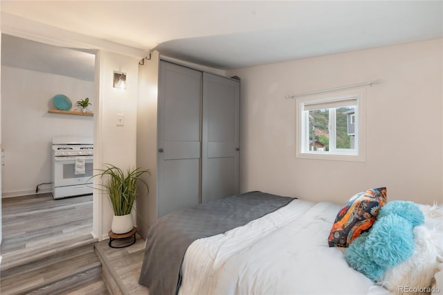 517 Canon Ave, Manitou Springs, CO 80829 - bedroom featuring light wood finished floors and a closet