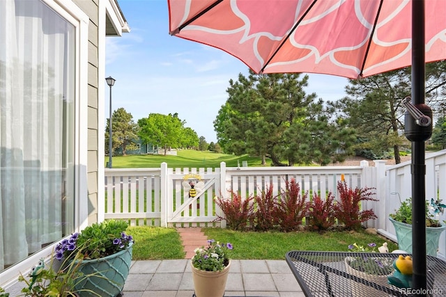 7 Shetland Ct, Highlands Ranch, CO 80130 - view of patio / terrace