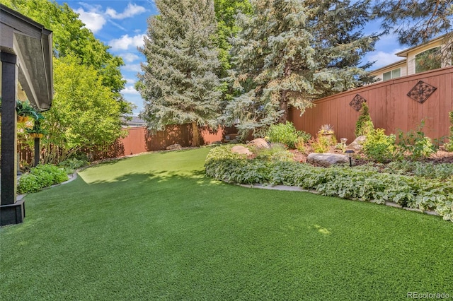 9856 Glenstone Trl, Highlands Ranch, CO 80130 - view of fenced backyard
