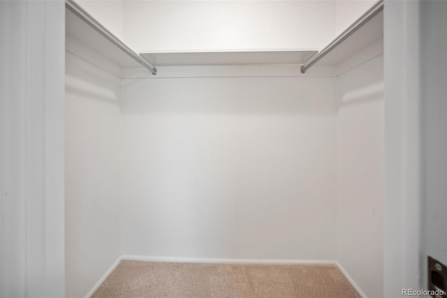 7659 S Holland Way, Littleton, CO 80128 - walk in closet featuring carpet