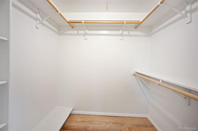 7659 S Holland Way, Littleton, CO 80128 - spacious closet with wood finished floors