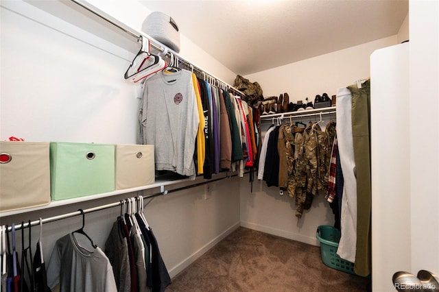 985 S Elk Way, Aurora, CO 80018 - spacious closet featuring carpet floors