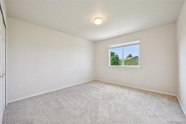 3527 Painted Daisy Ct, Colorado Springs, CO 80920 - photo 36