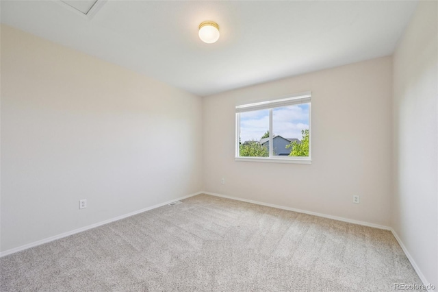 3527 Painted Daisy Ct, Colorado Springs, CO 80920 - photo 38