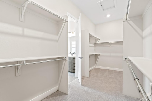 spacious closet featuring light carpet