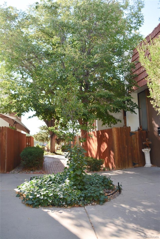 view of yard with a patio area