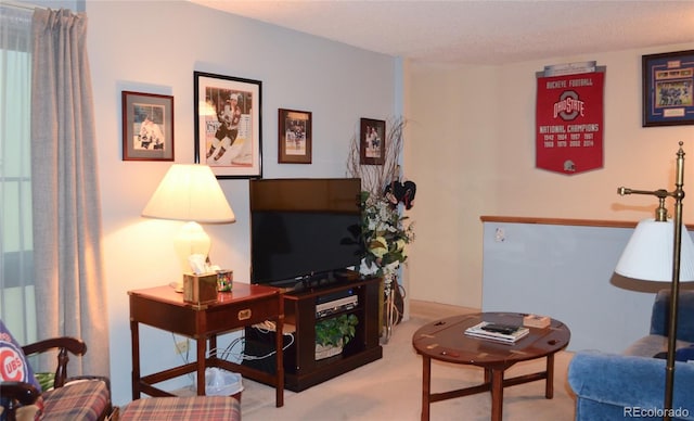 carpeted living room with a textured ceiling