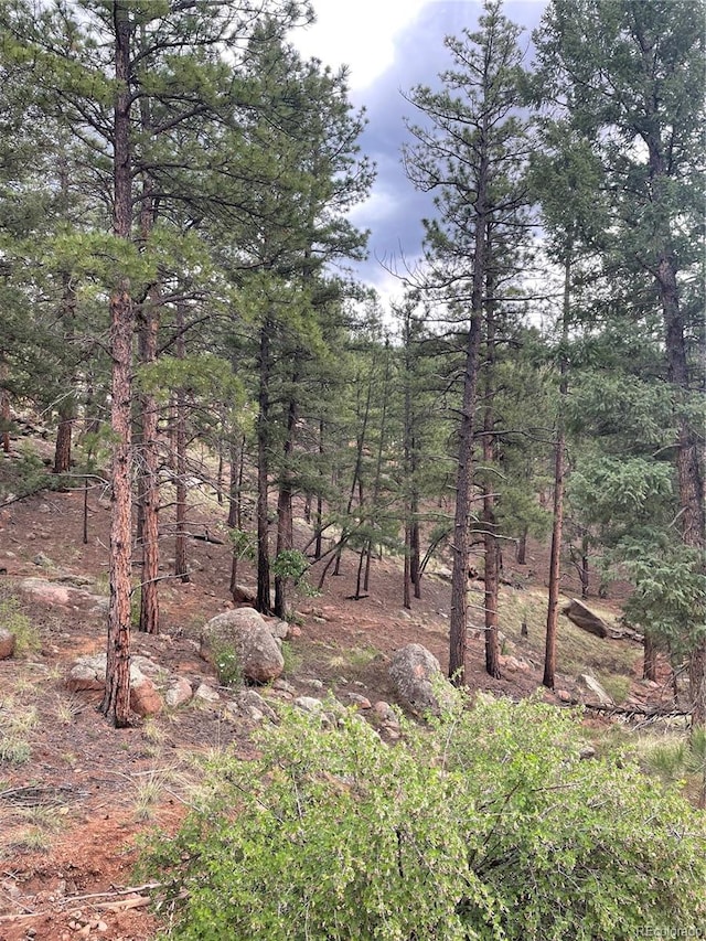 14621 Columbine Cir, Woodland Park CO, 80863 land for sale