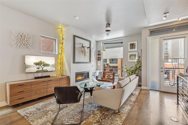 living area with a glass covered fireplace, plenty of natural light, and wood finished floors