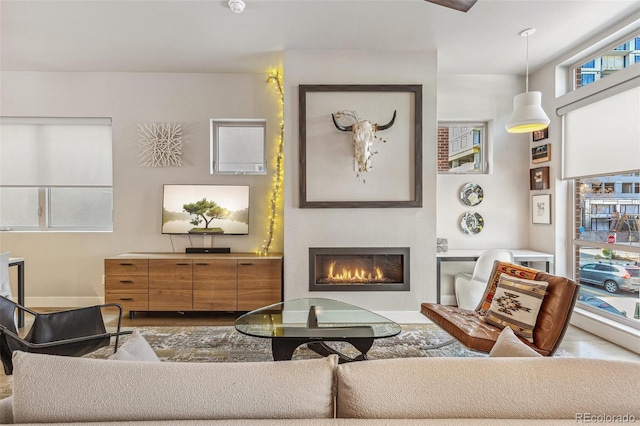 living area featuring a glass covered fireplace and wood finished floors