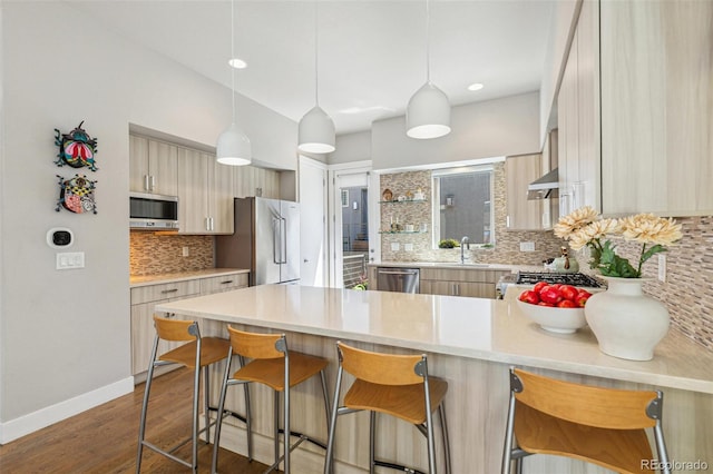 1012 Bannock St, Denver, CO 80204 - kitchen featuring stainless steel appliances, a peninsula, tasteful backsplash, light countertops, and dark wood-style floors