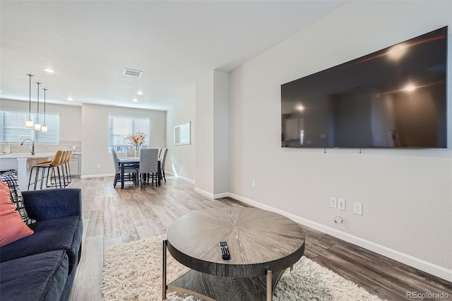 living room with sink and hardwood / wood-style flooring