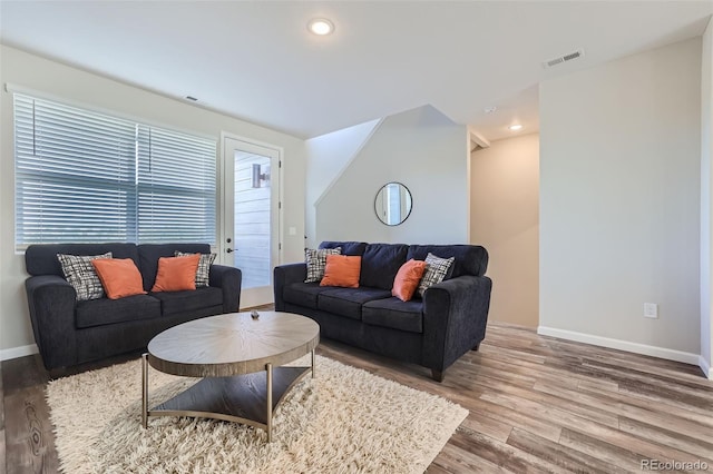 living room with wood-type flooring