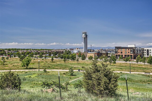 3411 N Xenia St, Denver, CO 80238 - surrounding community