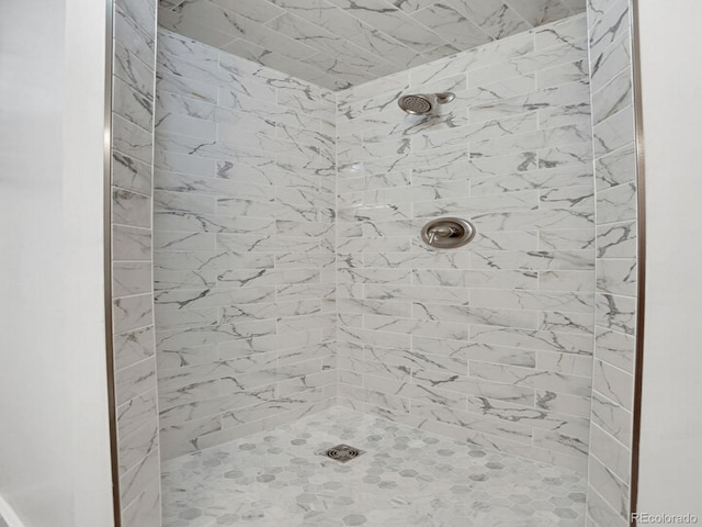 2797 S Newton Way, Denver, CO 80236 - full bathroom with a shower stall