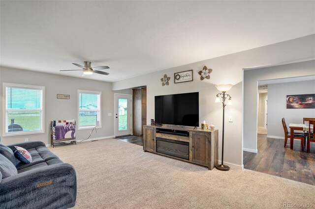 6898 Otoole Dr, Calhan, CO 80808 - photo 19