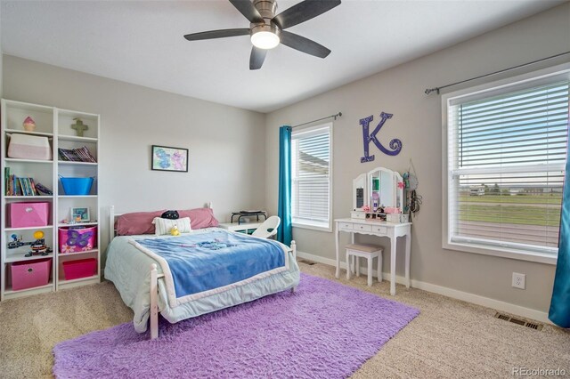 6898 Otoole Dr, Calhan, CO 80808 - photo 23