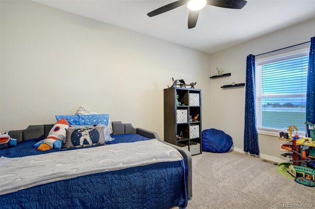 6898 Otoole Dr, Calhan, CO 80808 - photo 33